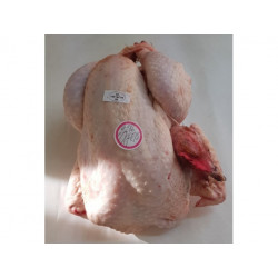 Poulet (Prix Kg)