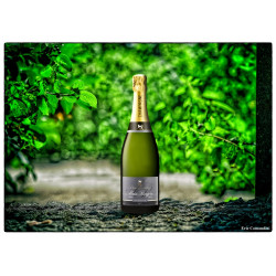 Champagne Alain Bergère Brut Sélection bouteille 75 cl